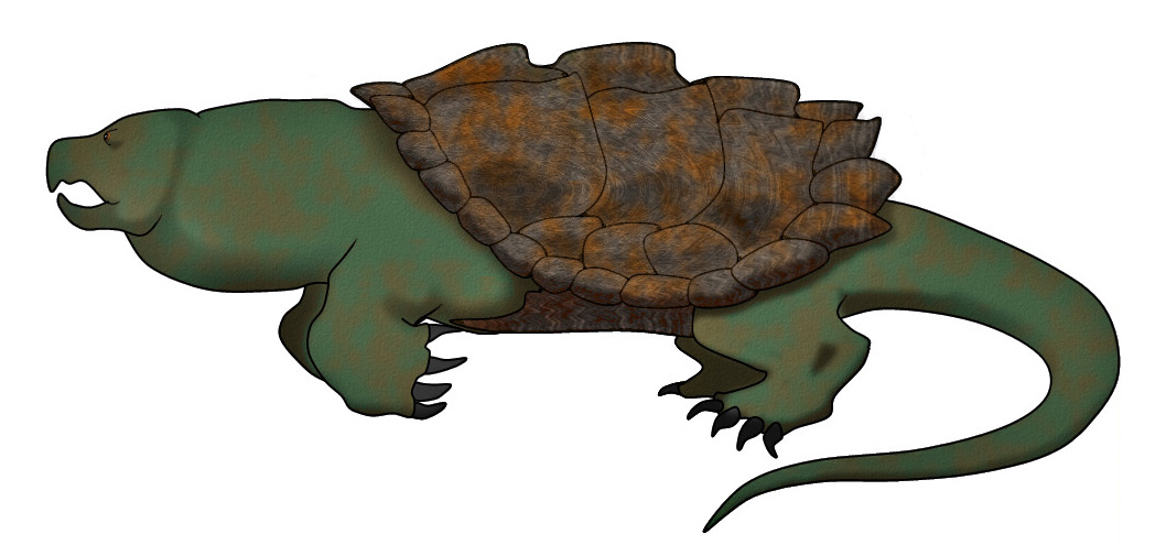 Cartoon Snapping Turtle Free download on ClipArtMag.