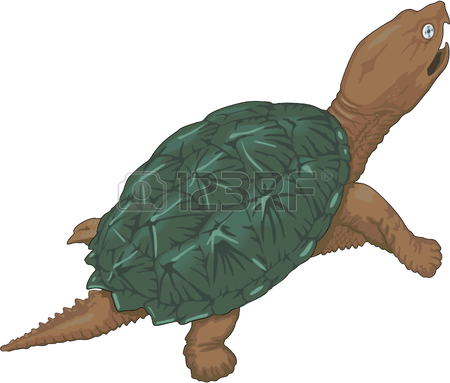 450x383 Snapping Turtle Illustration Royalty Free Cliparts, Vectors,