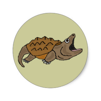 324x324 Snapping Turtle Stickers Zazzle