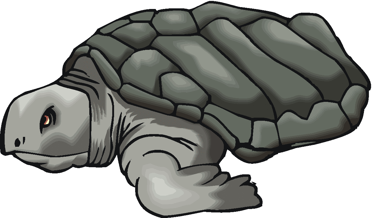 Cartoon Snapping Turtle | Free download on ClipArtMag