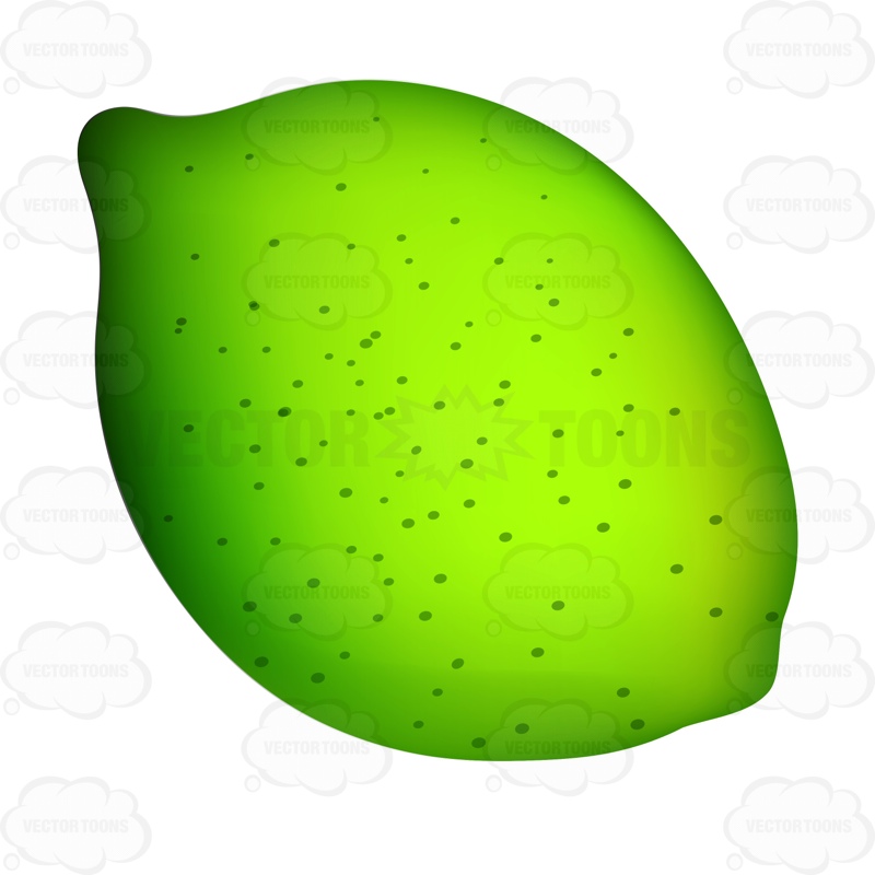 800x800 Lime Clipart Cartoon