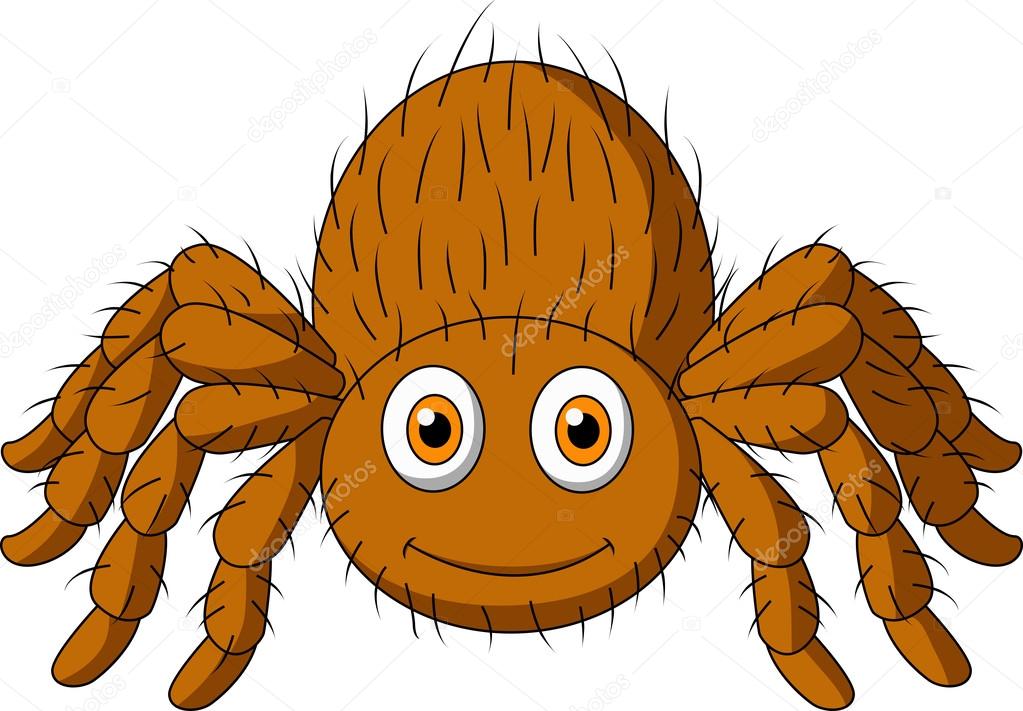 1023x711 Cute Tarantula Spider Cartoon Stock Vector Tigatelu