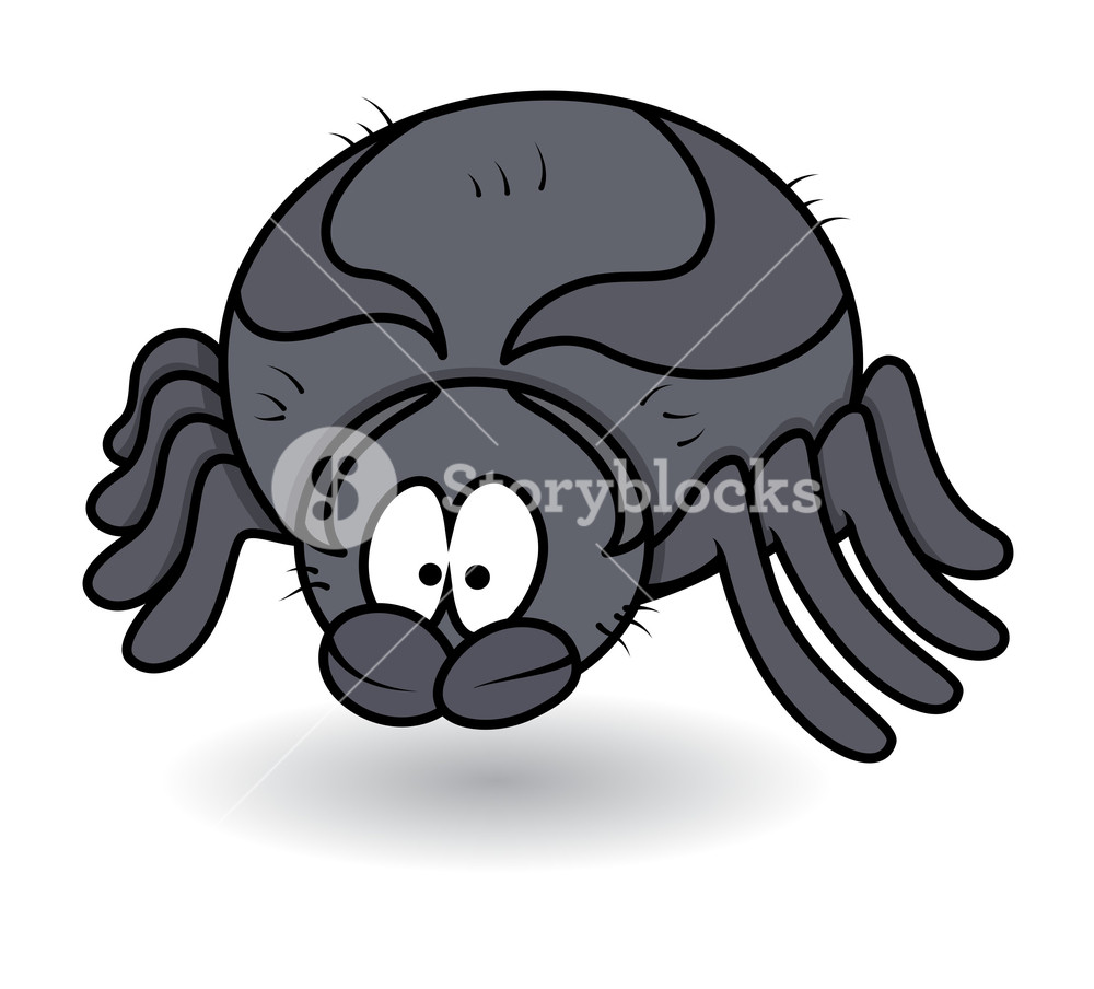 1000x904 Fat Spider Male Cartoon