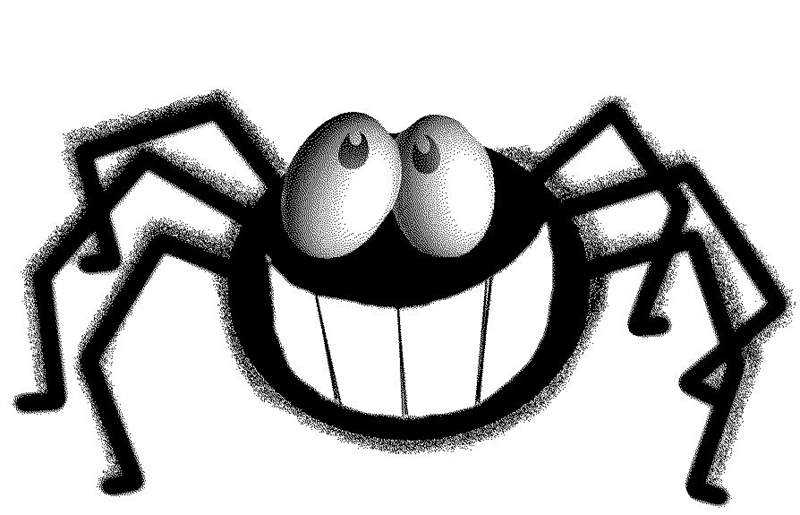 800x515 Aliexpress Buy Creative Cartoon Black Spider Wall Sticker