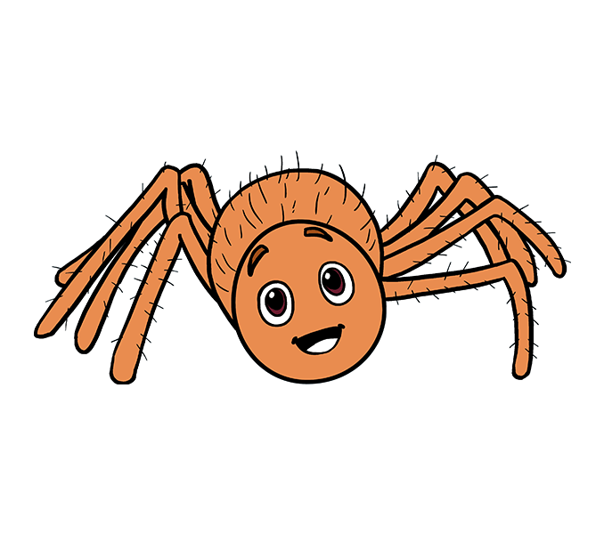 678x600 How To Draw A Cartoon Spider In A Few Easy Steps Easy Drawing Guides