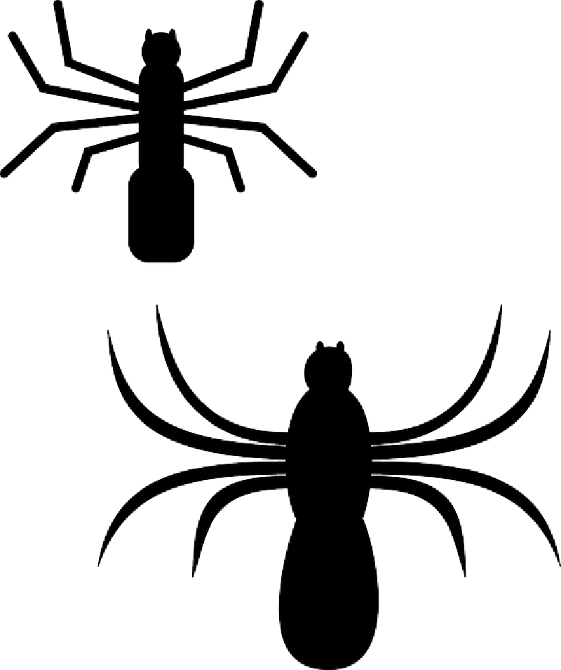 800x955 Silhouette, Cartoon, Bugs, Spider, Web, Insect, Spiders