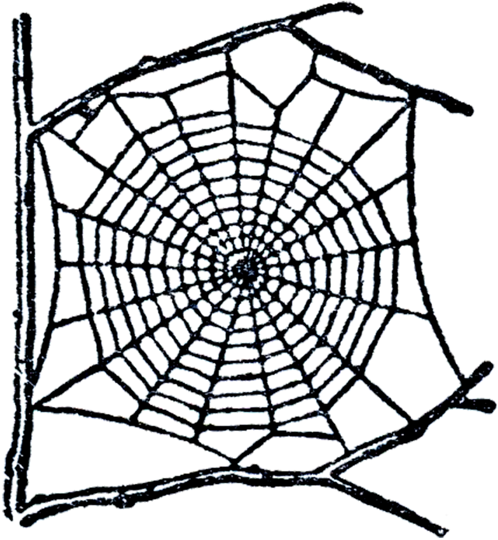 1660x1800 Free Spider Web Clip Art The Graphics Fairy 2
