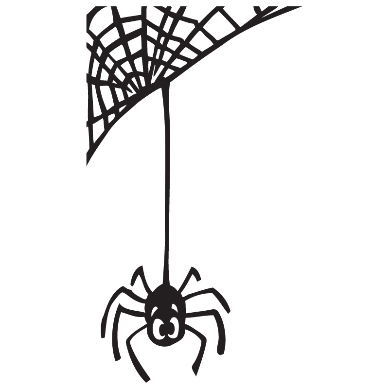 800x800 Spider Web Clipart Hanging