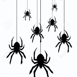 300x300 Cartoon Spider Picture Pcqkrrdei Coloring