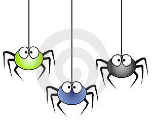 300x240 Spiders That Are Good For Your House To Keep Other Pests Away