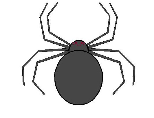 532x408 The Daily Entomologist Halloween Spiders