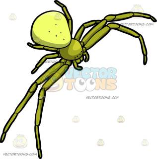 316x320 Ballooning Spider Clipart