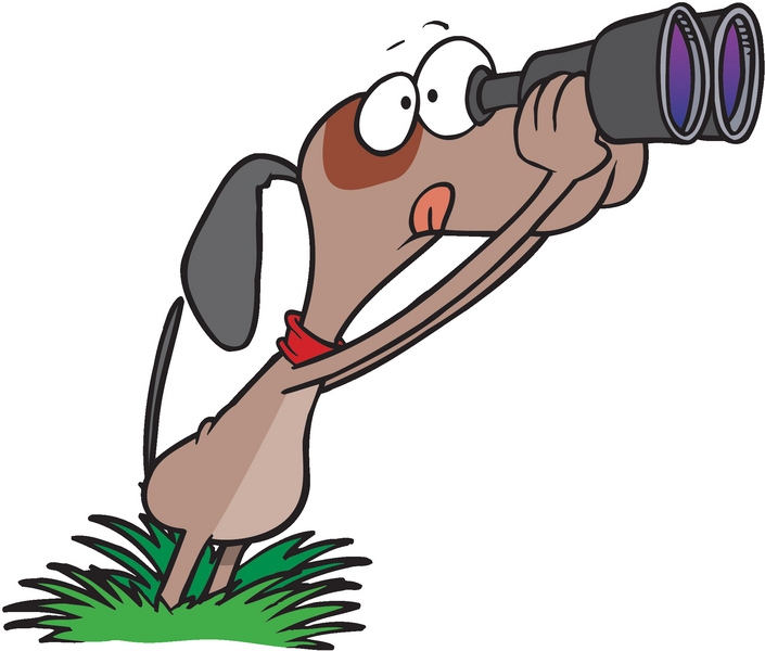 705x600 English Exercises Common Verbs In English. Spotlight 5. Starter.