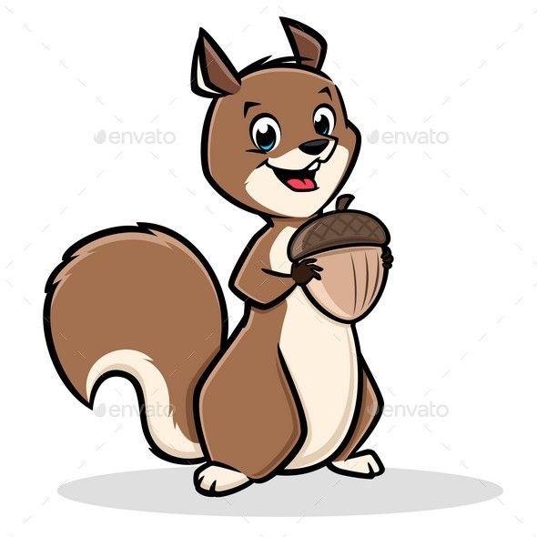 Cartoon Squirrel Pictures