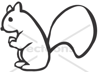 320x232 Simple Young Squirrel Illustration In Sketch Style