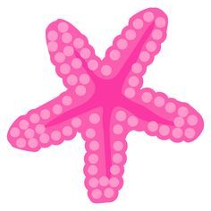 236x236 Colorful Seashell Clipart Png Ocean Tides Art