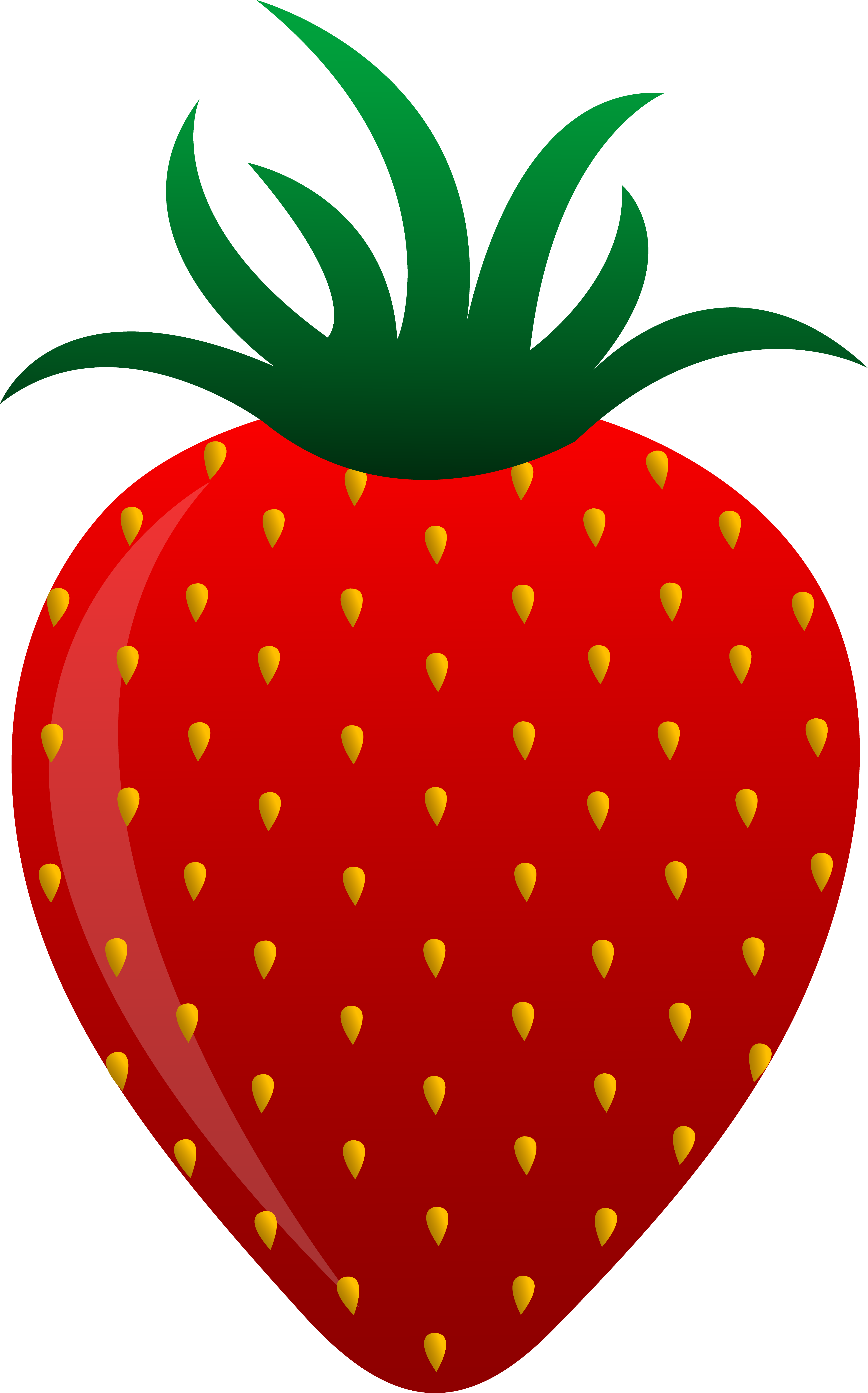 4681x7510 Red Strawberry Vector Art