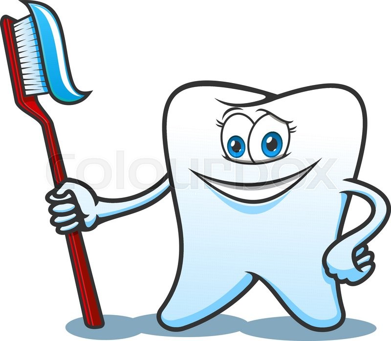 800x698 Smiling Healthy White Tooth Cartoon Character Holds Toothbrush