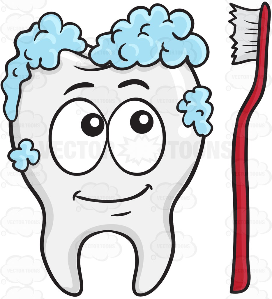 934x1024 Tooth Being Cleaned By A Toothbrush Cartoon Clipart