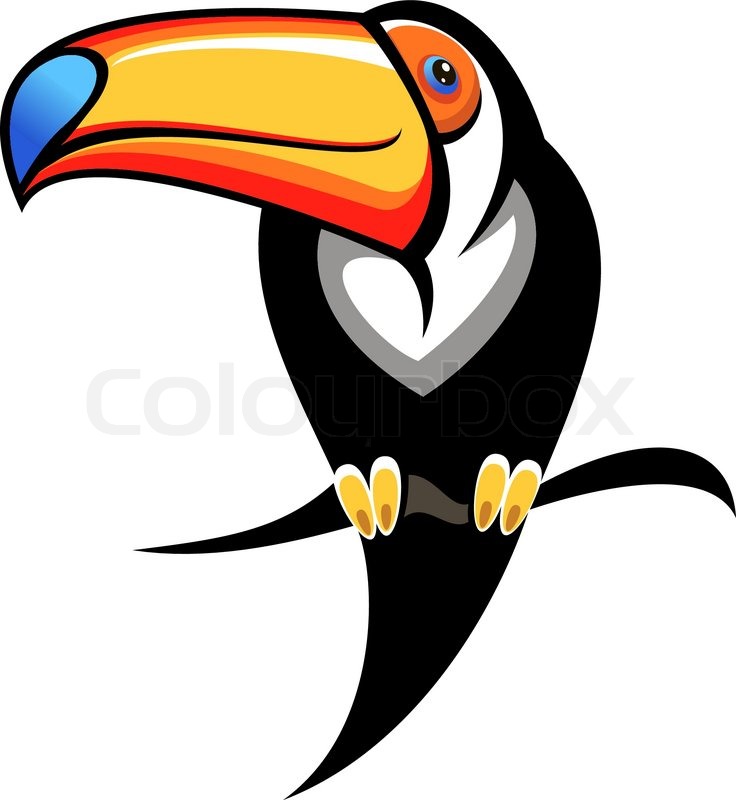 736x800 Cartoon Toucan Cartoon Black Toucan With A Large Colourful