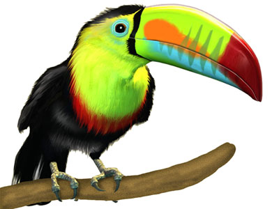 400x300 Cartoon Toucan Pictures 2