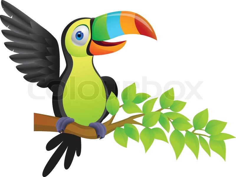800x603 Toucan Bird Cartoon Stock Vector Colourbox