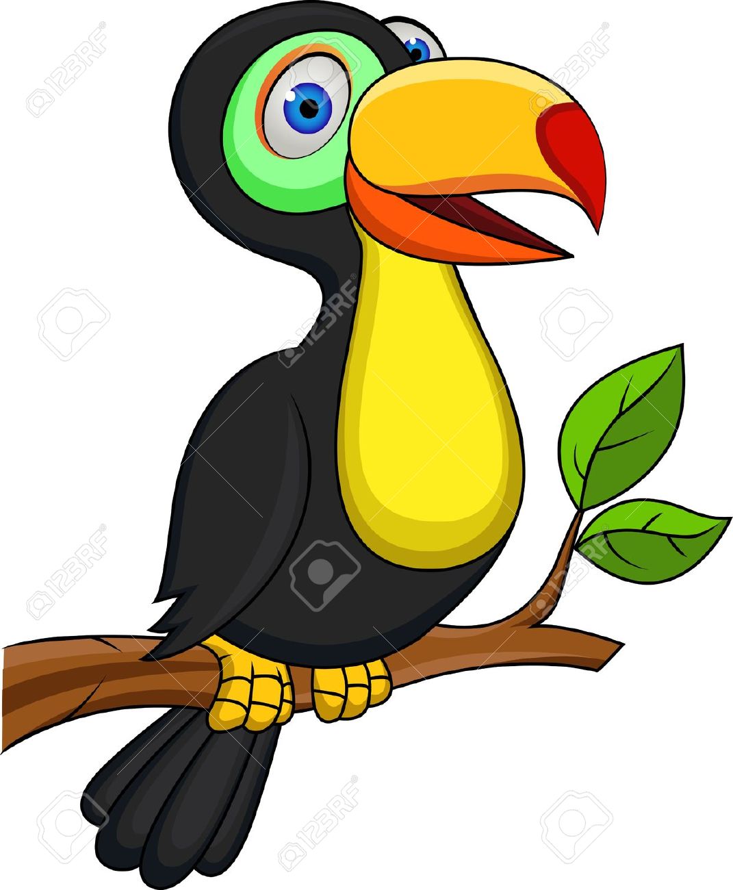 1071x1300 Toucan Clipart Amazon Rainforest