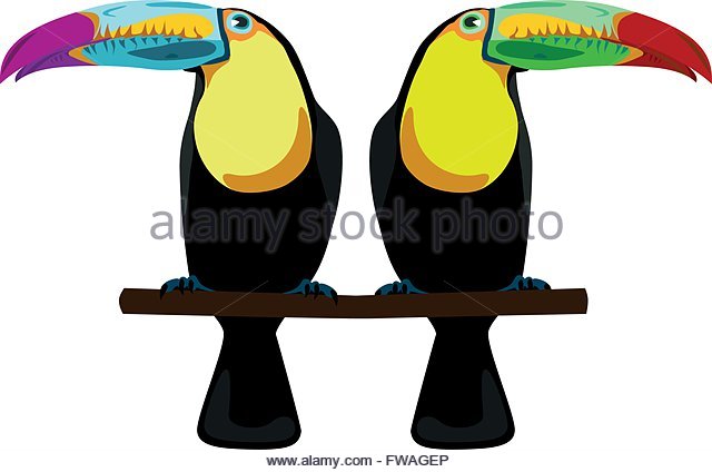 640x424 Illustration Toucan Stock Photos Amp Illustration Toucan Stock