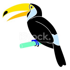 295x299 Cartoon Animal Toucan Flat Coloring Style Stock Vectors