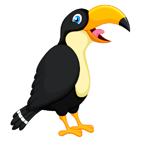 500x500 Toucan Parrot