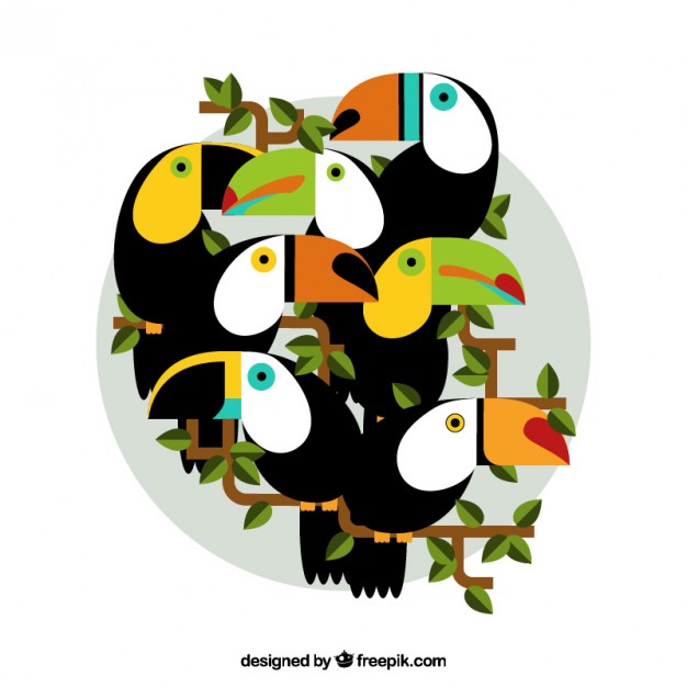 626x626 Toucan Vectors, Photos And Psd Files Free Download