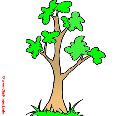 370x370 Cartoon Tree Clipart