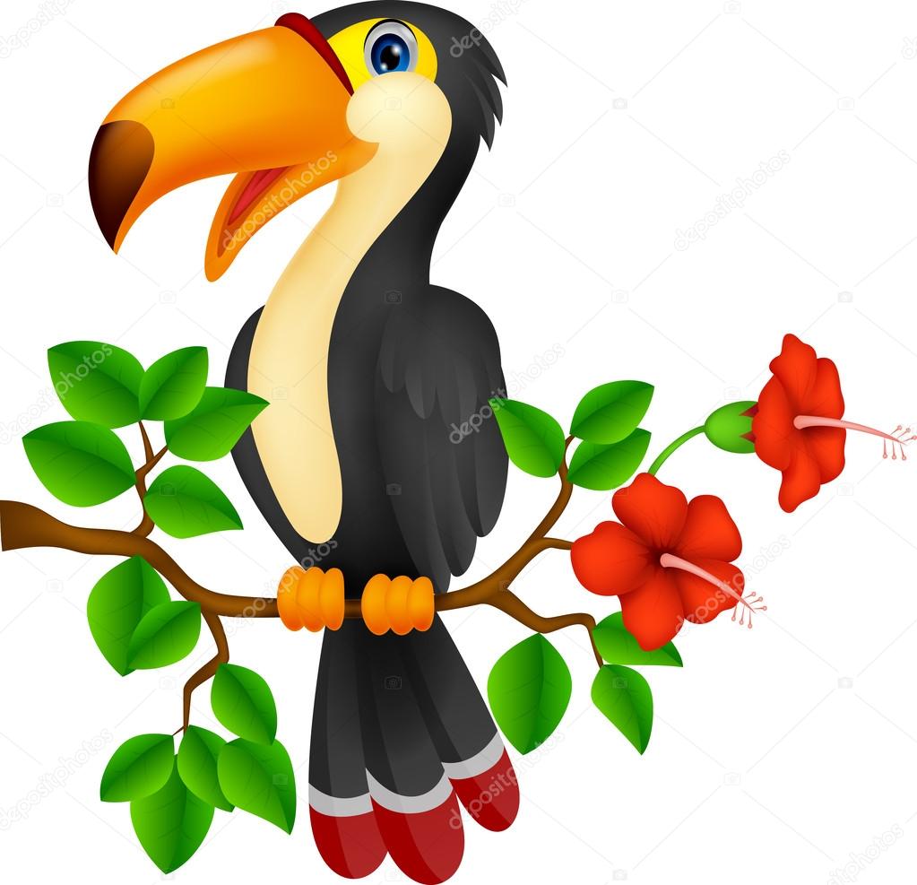 1023x987 Funny Toucan Bird Cartoon Stock Vector Tigatelu