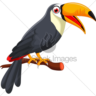 325x325 Toucan Bird Cartoon Gl Stock Images