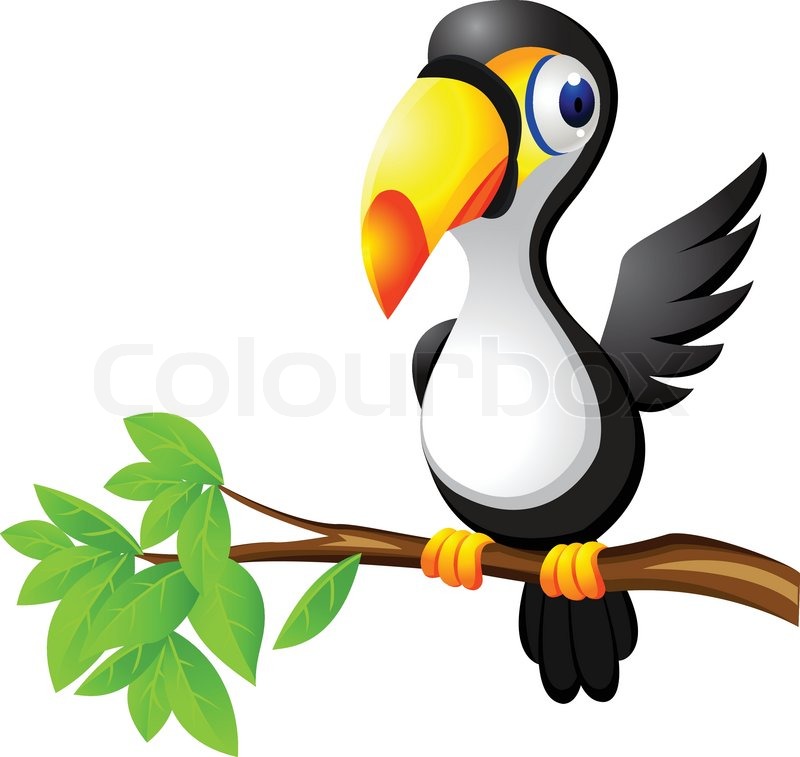 800x757 Toucan Bird Cartoon Stock Vector Colourbox