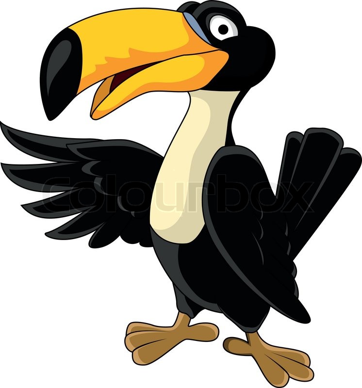 746x800 Vector Illustration Of Toucan Bird Cartoon Stock Vector Colourbox