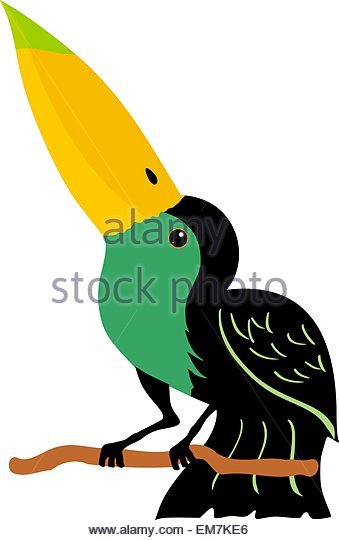 339x540 Cartoon Toucan Stock Photos Amp Cartoon Toucan Stock Images