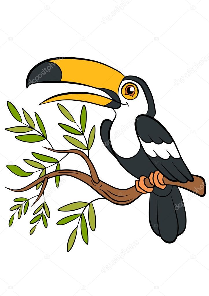 723x1023 Cartoon Birds For Kids. Little Cute Toucan. Stock Vector Ya