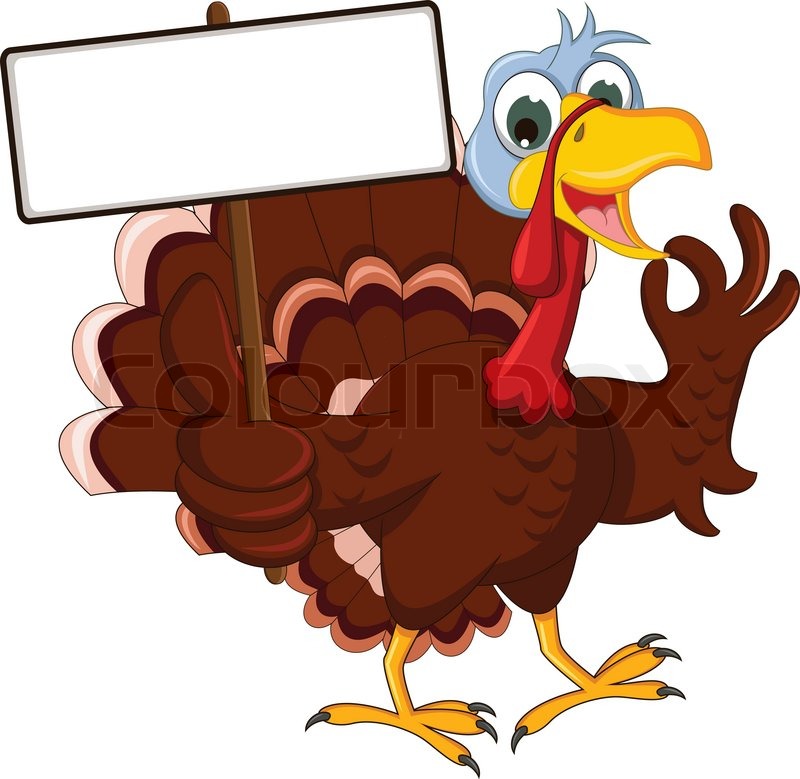 800x779 Funny Turkey Cartoon Posing With Blank Sign Stock Vector Colourbox