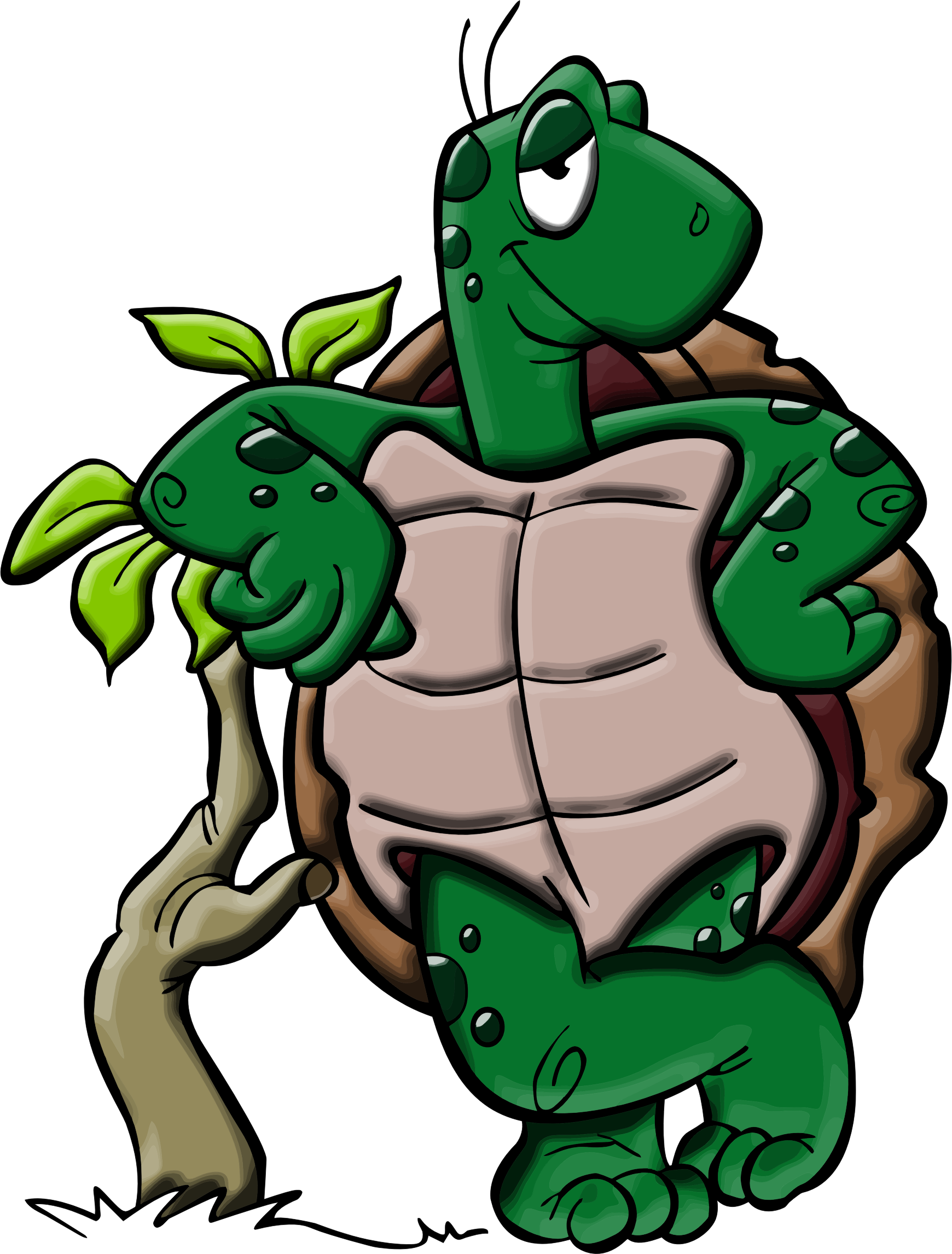 Cartoon Turtle Pictures | Free download on ClipArtMag