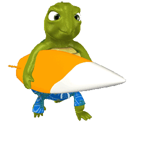 300x300 Free Animated Turtle Gifs