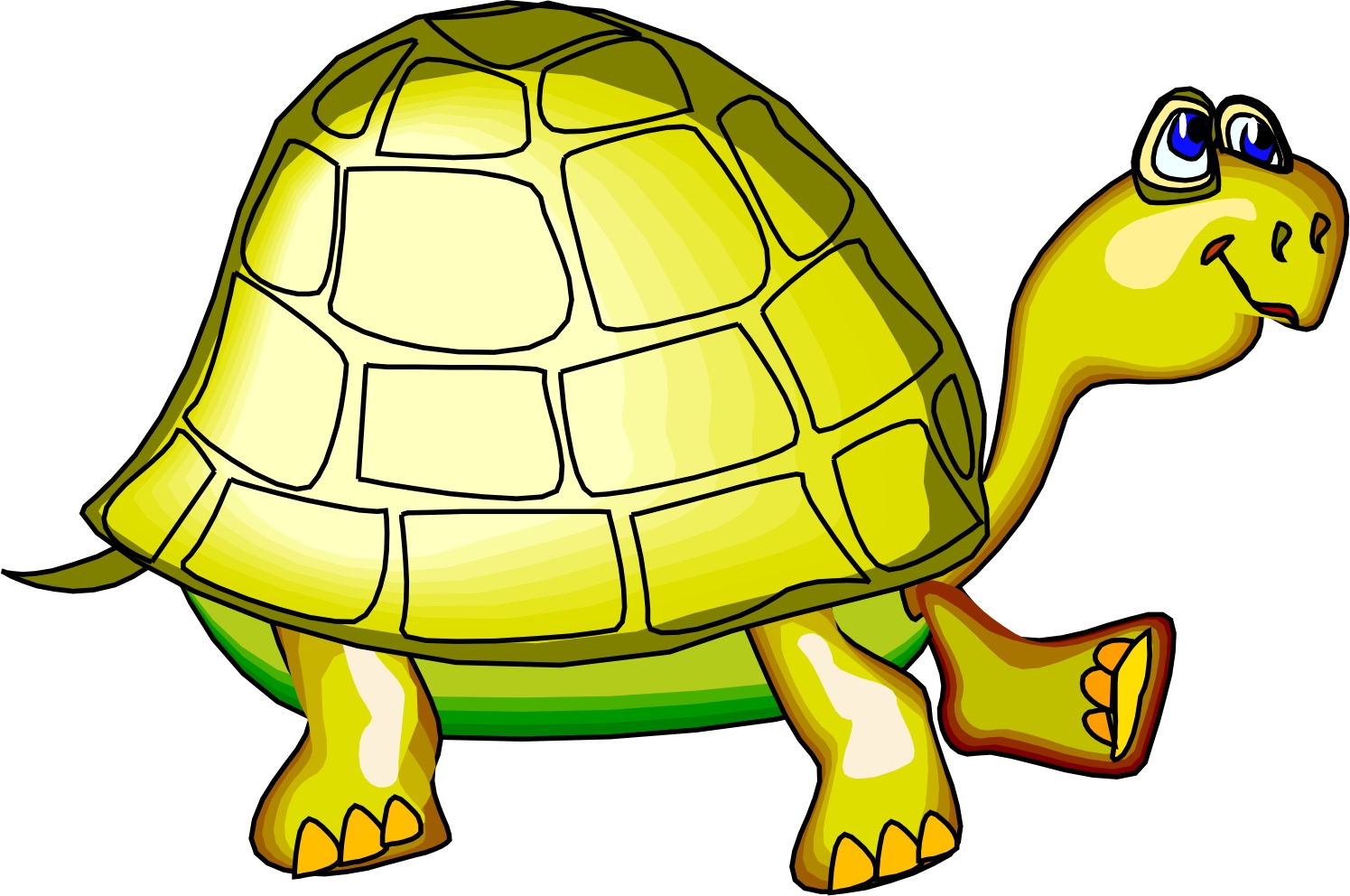 1495x992 Picture Of Cartoon Turtle