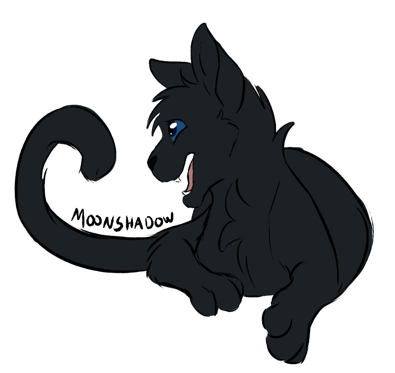 800x756 Moon Shadow By Tusofsky Moon