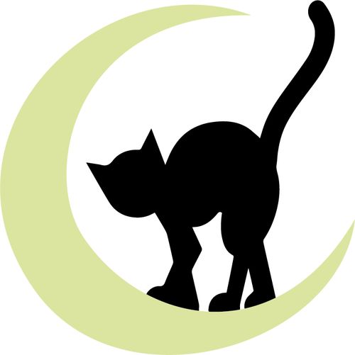 500x501 Best Cat Moon Ideas