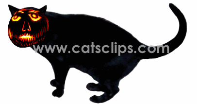 406x214 Halloween Animated Gifs From Cat's Clips