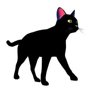 296x296 Moving Clipart Cat