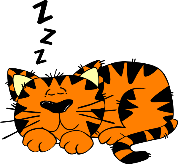 600x554 Animated Cat Clipart 2090308