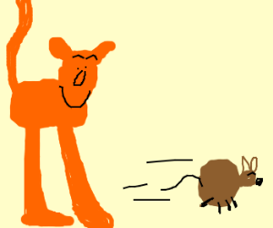 300x250 Cat Chasing A Mouse