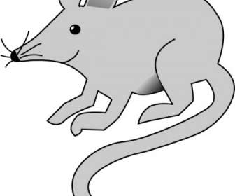 336x280 Mouse Clip Art Vector Clip Art Free Vector Free Download