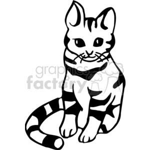 300x300 Royalty Free Cute Black And White Tabby Cat 131016 Vector Clip Art